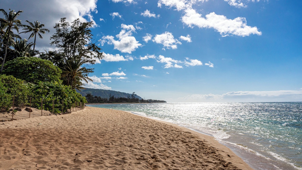 Photo of Others in Mokuleia