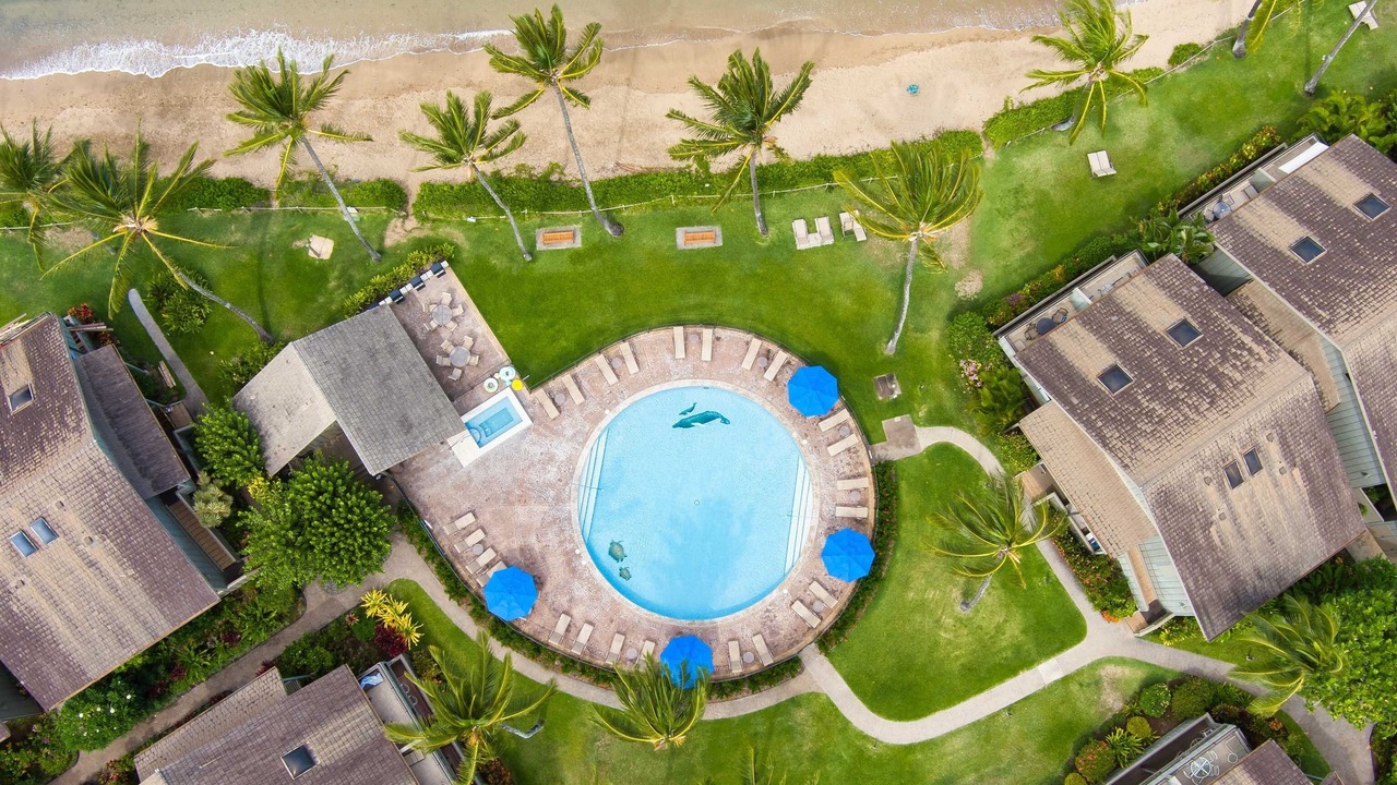 Photo of Outdoor in Kahana