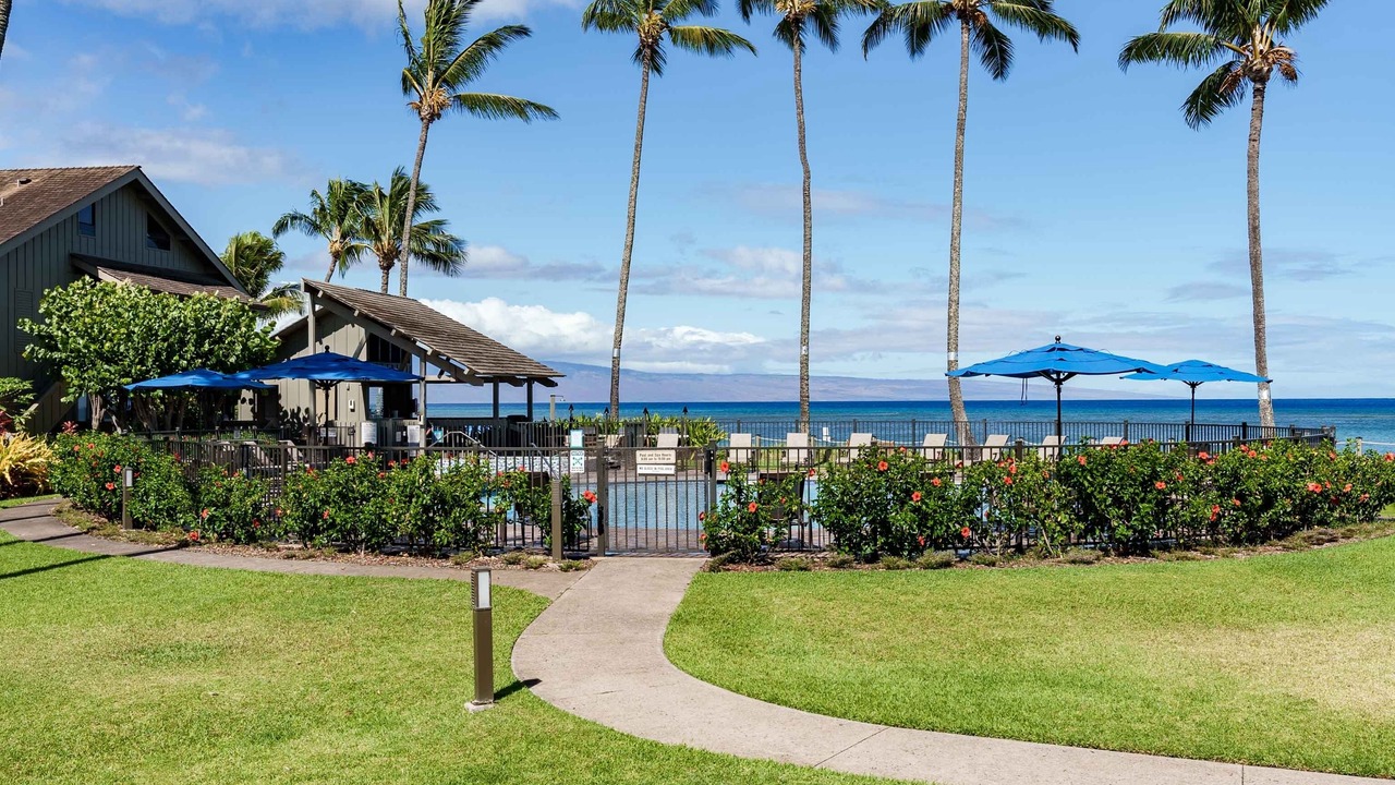 Photo of Others in Kahana