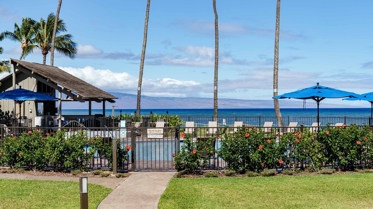 Photo of Others in Kahana