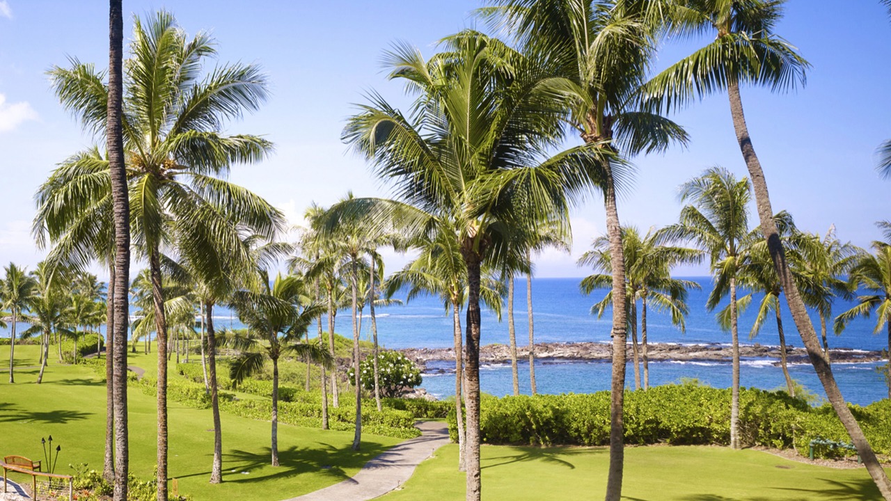 Photo of Outdoor in Napili