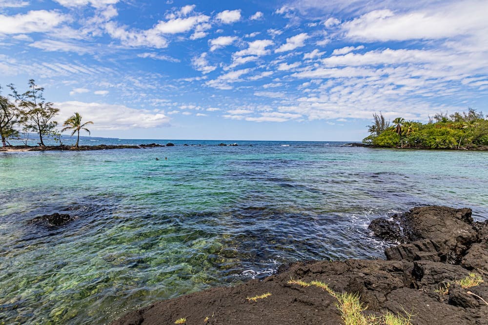Photo of Others in Hilo