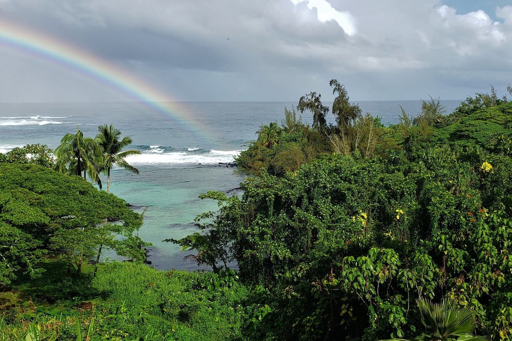 Photo of Others in Hilo