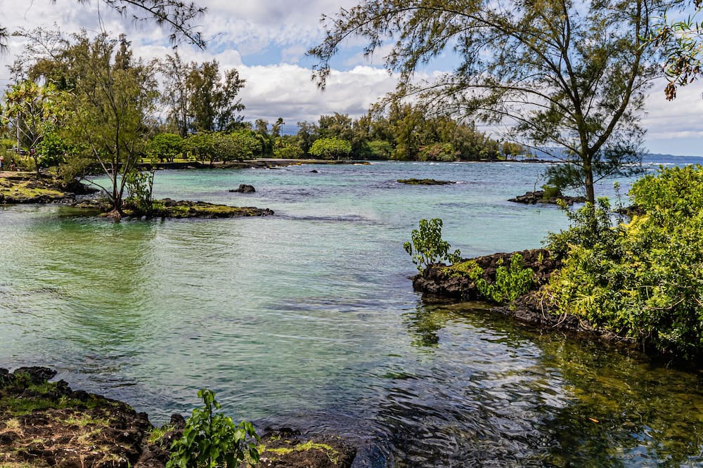 Photo of Others in Hilo