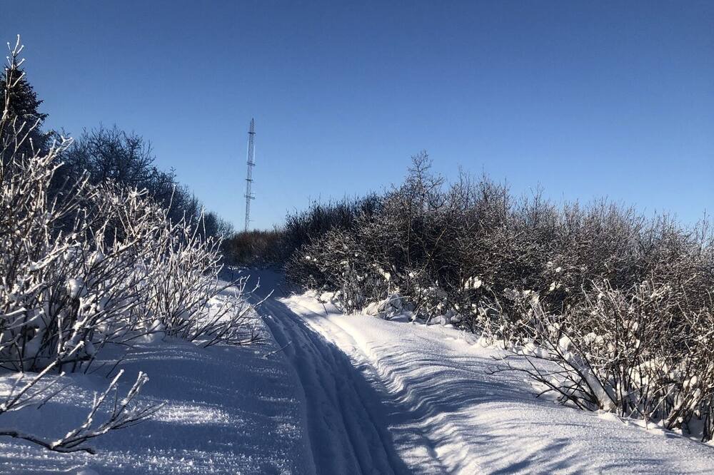 Photo of Others in Diamond Ridge