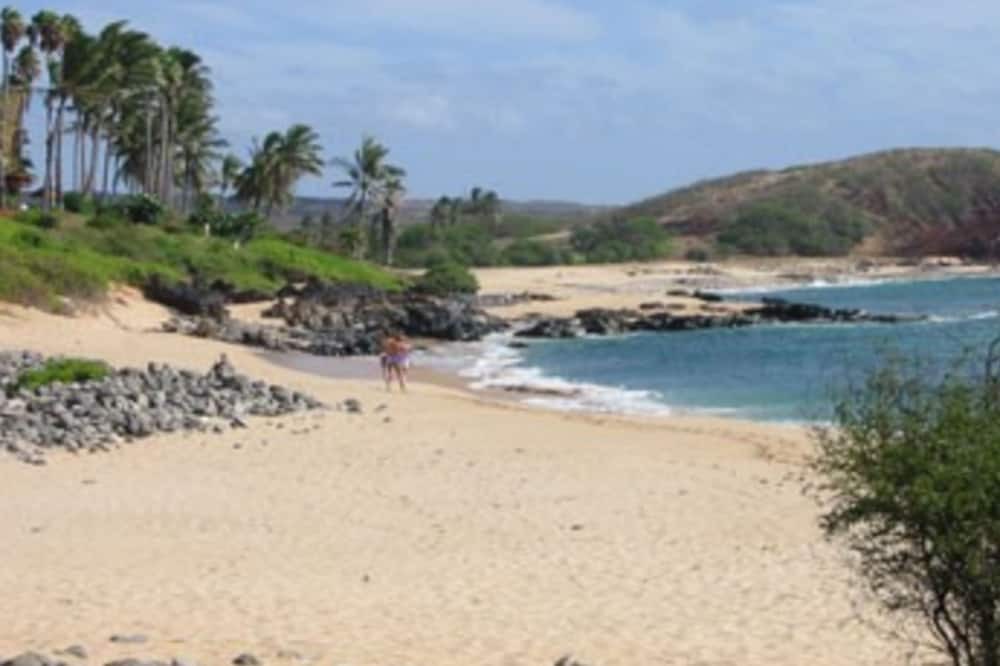 Photo of Others in Maunaloa