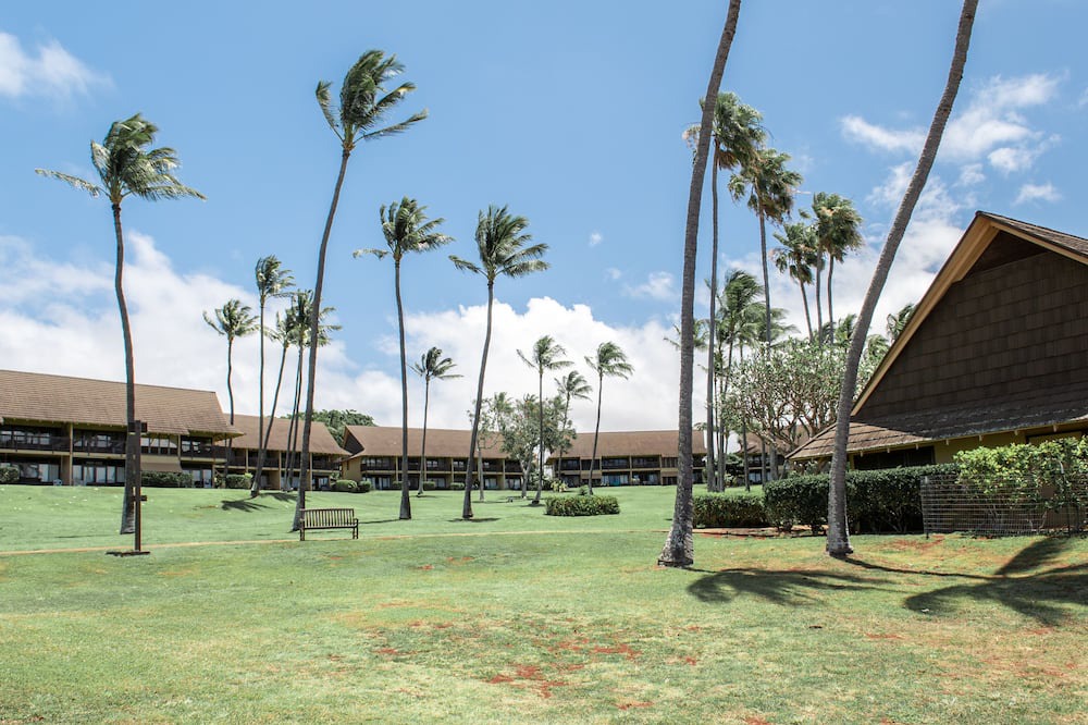 Photo of Others in Maunaloa