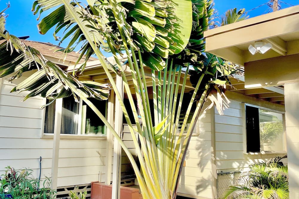 Photo of Outdoor in Ewa