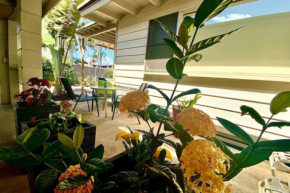 Photo of Others in Ewa
