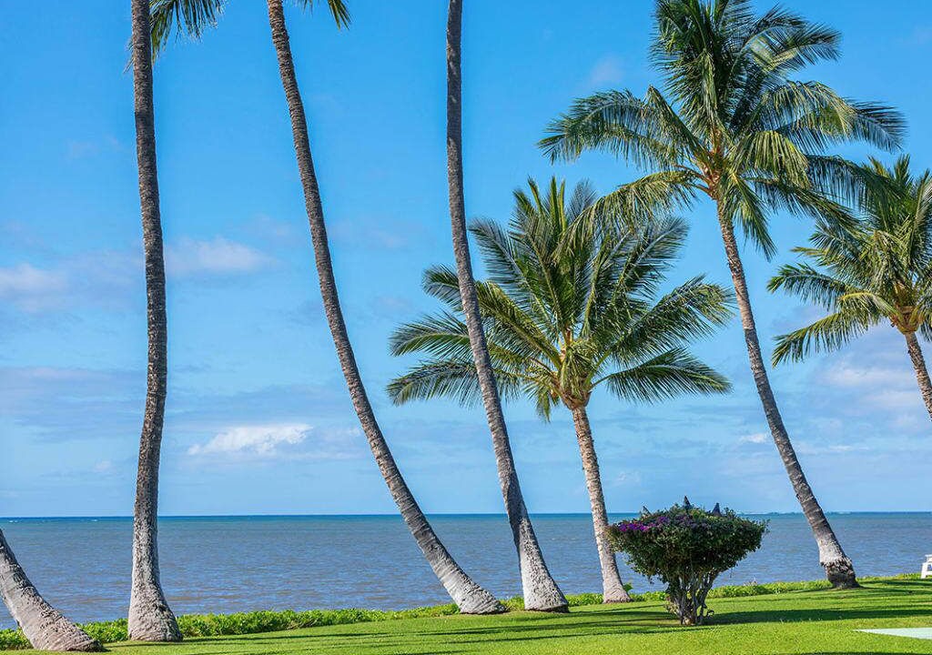 Photo of Outdoor in Kaunakakai