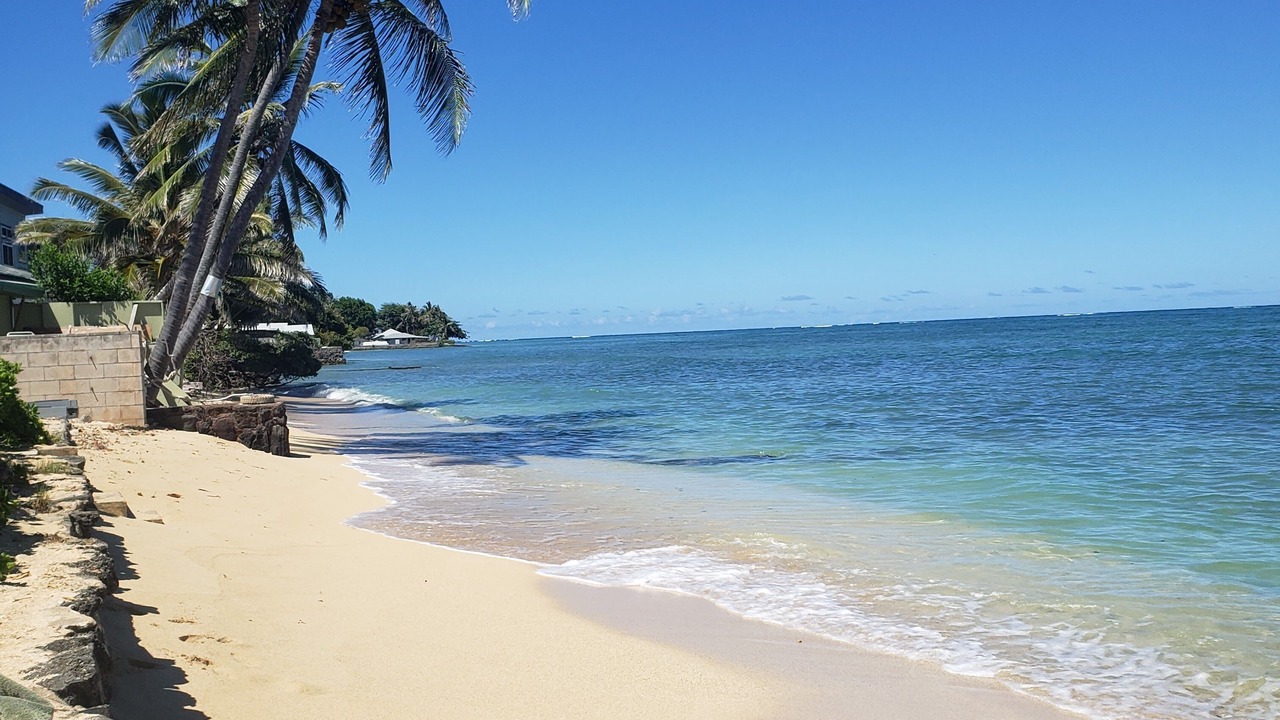 Photo of Others in Kaneohe