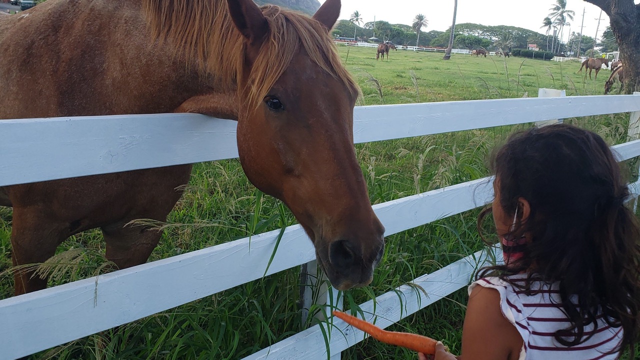 Photo of Others in Kaneohe