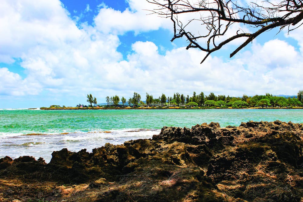 Photo of Others in Honolulu County