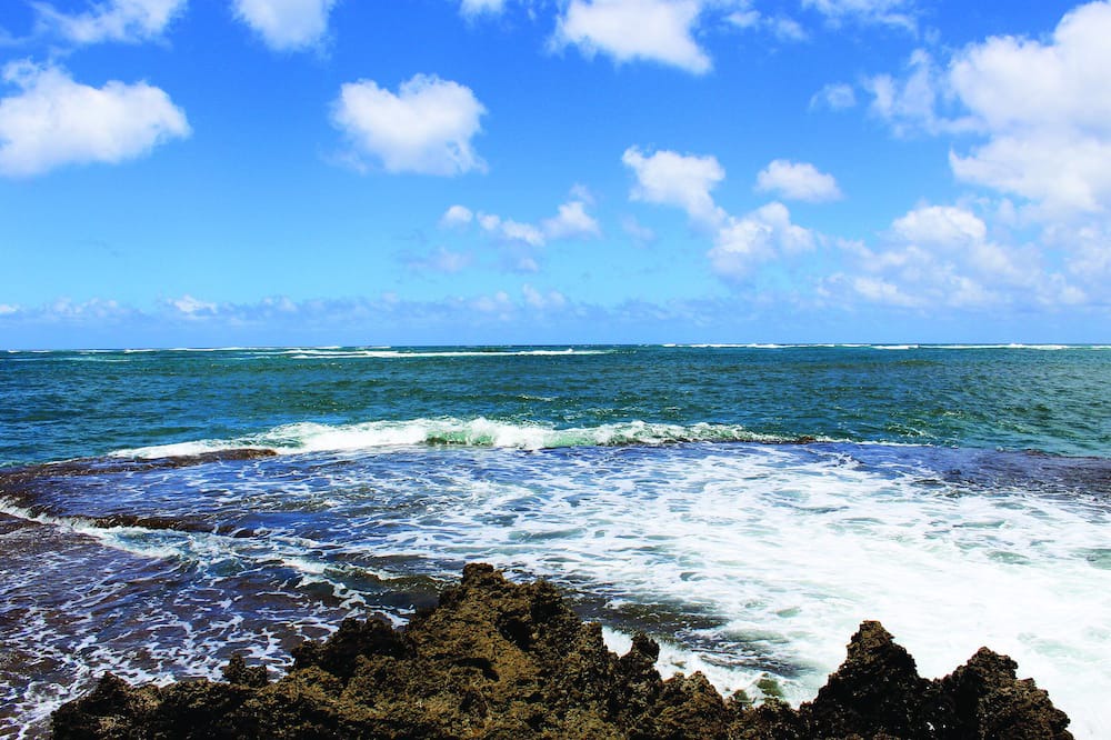 Photo of Others in Honolulu County