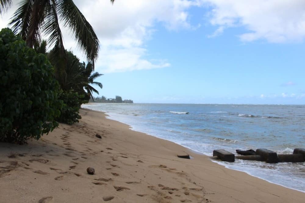 Photo of Others in Honolulu County