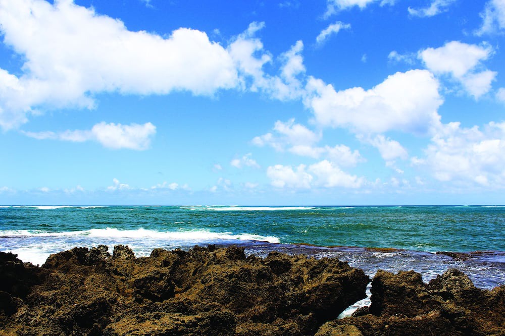 Photo of Others in Honolulu County