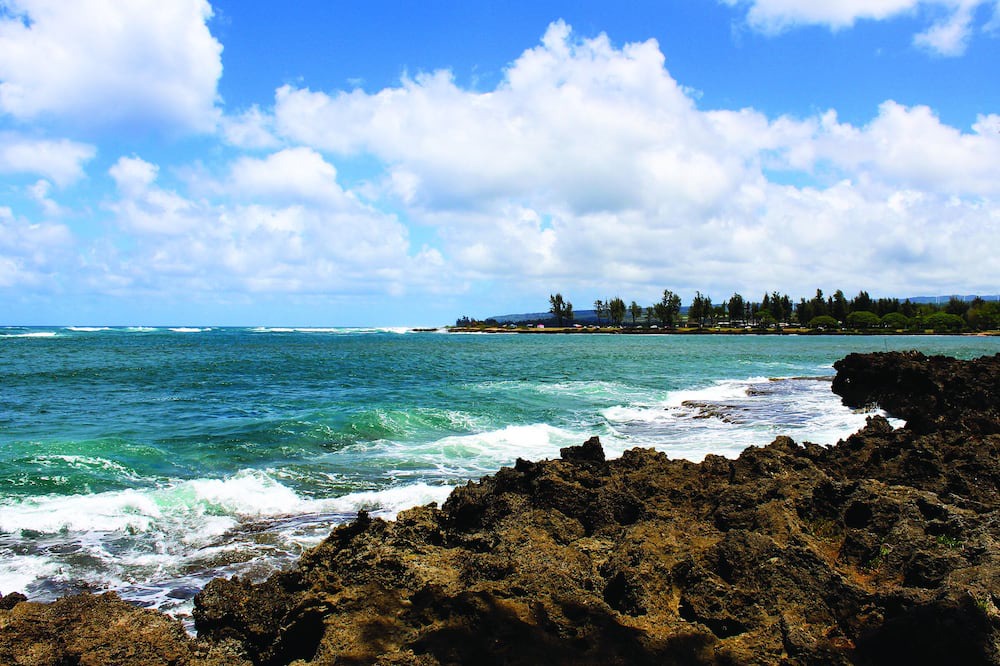 Photo of Others in Honolulu County