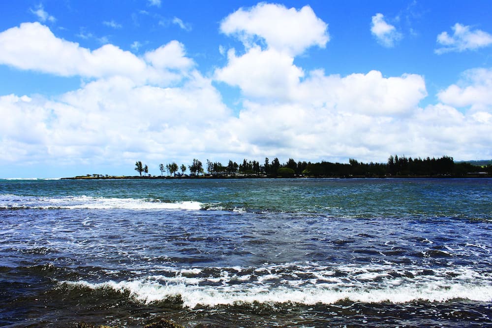 Photo of Others in Honolulu County