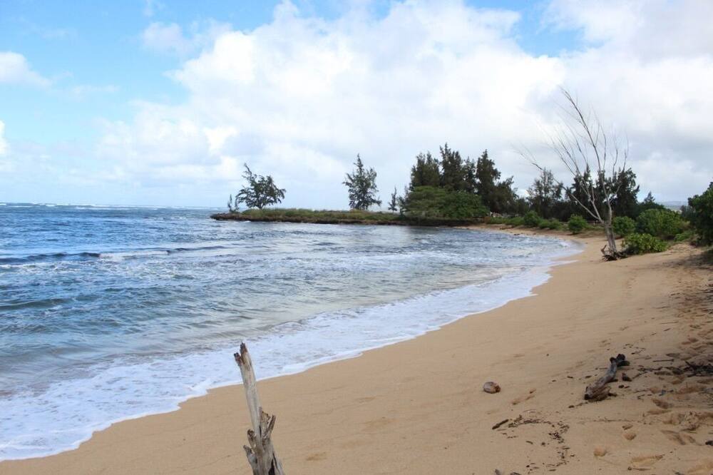 Photo of Others in Honolulu County
