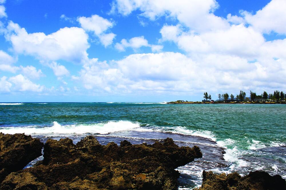 Photo of Others in Honolulu County