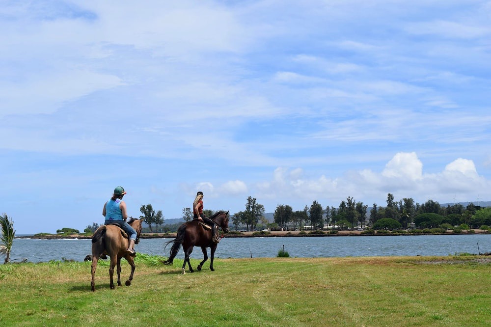 Photo of Others in Honolulu County