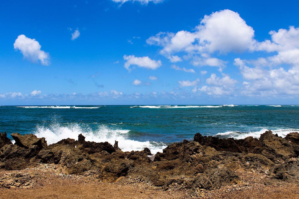 Photo of Others in Honolulu County