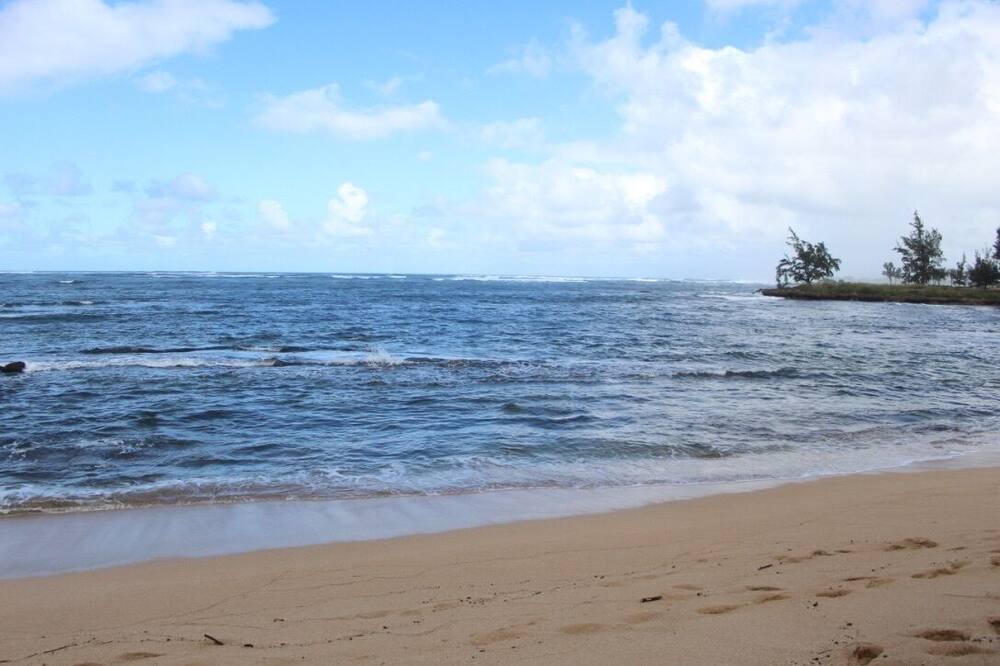Photo of Others in Honolulu County