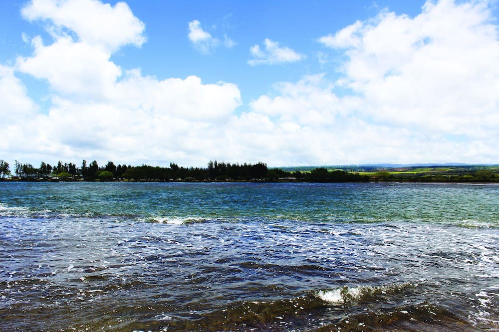 Photo of Others in Honolulu County