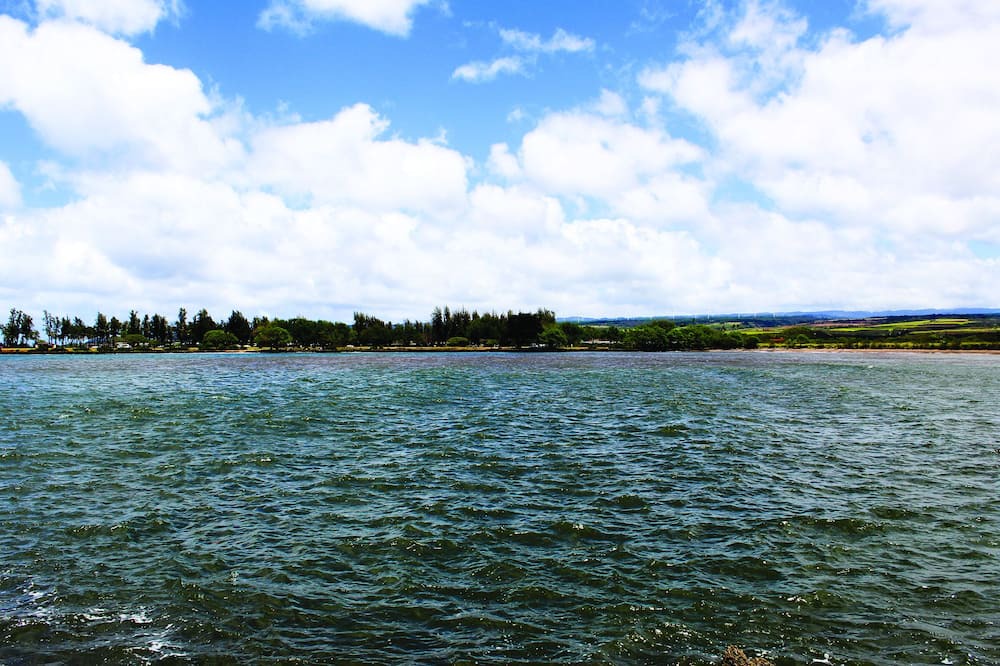 Photo of Others in Honolulu County