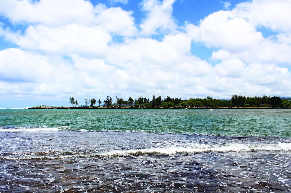 Photo of Others in Honolulu County