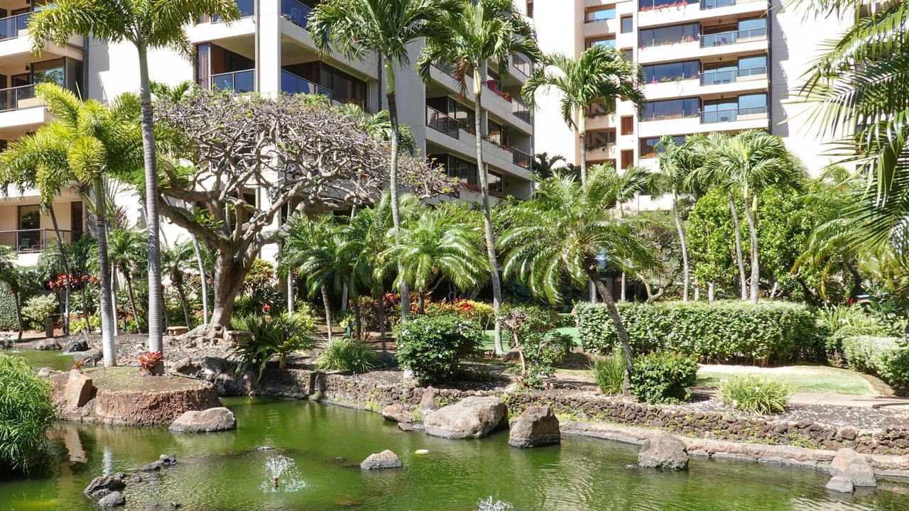 Photo of Others in Kahana