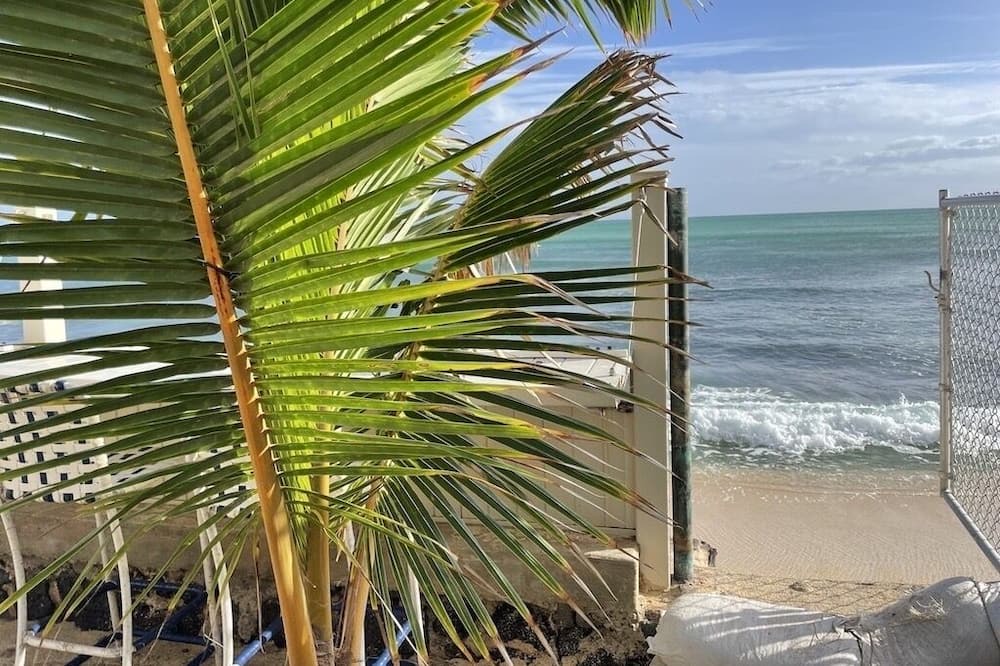 Photo of Outdoor in Ewa