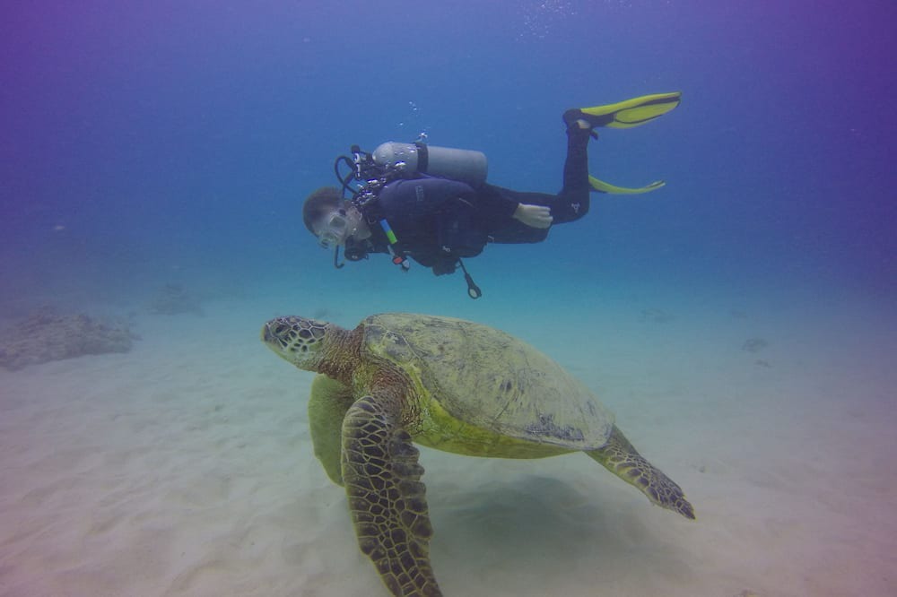 Photo of Others in Ewa
