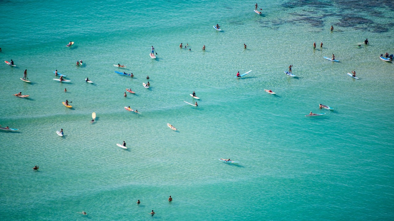 Photo of Others in McCully - Moiliili