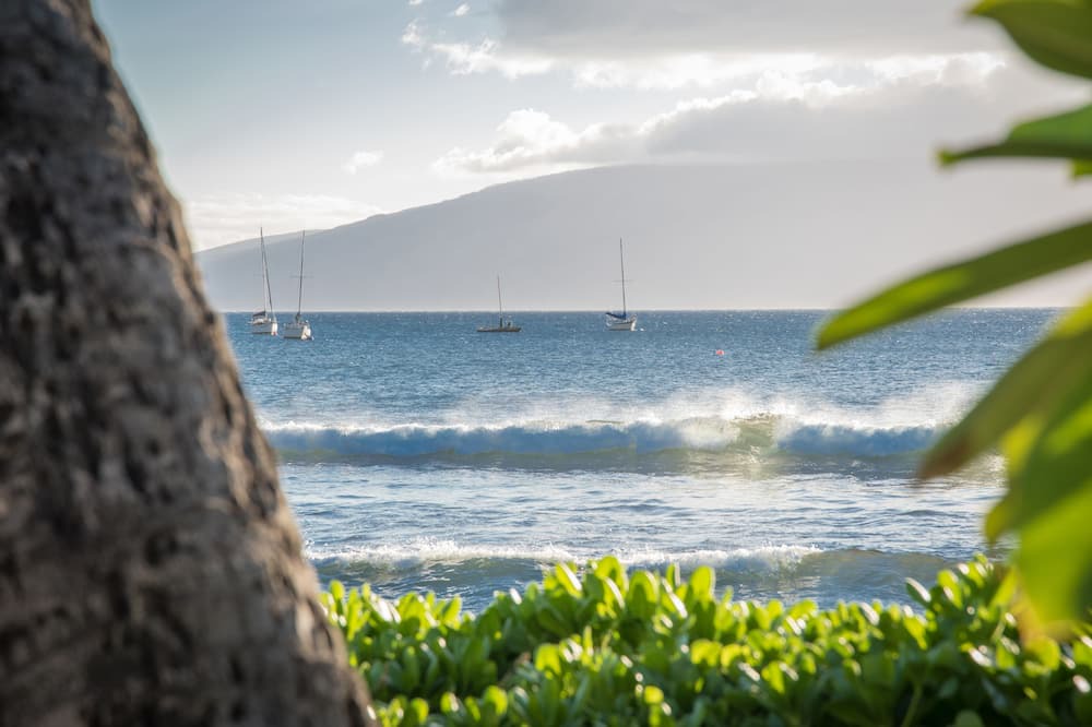 Photo of Others in Historic Lahaina Front Street
