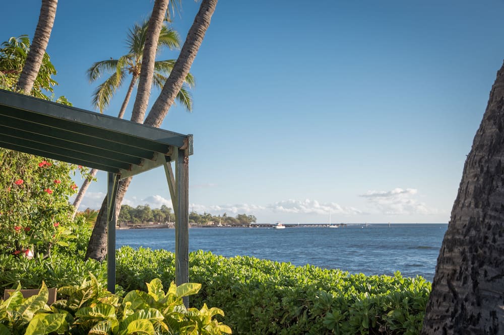 Photo of Others in Historic Lahaina Front Street