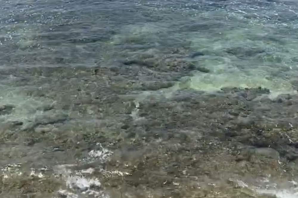 Photo of Others in Diamond Head - Kapahulu - St. Louis