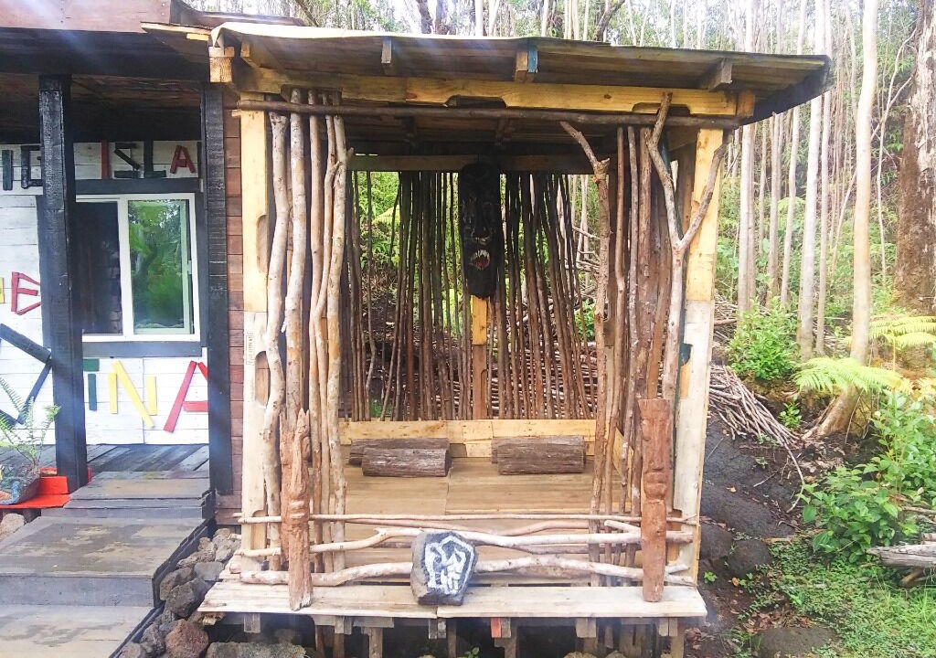 Photo of Outdoor in Fern Forest