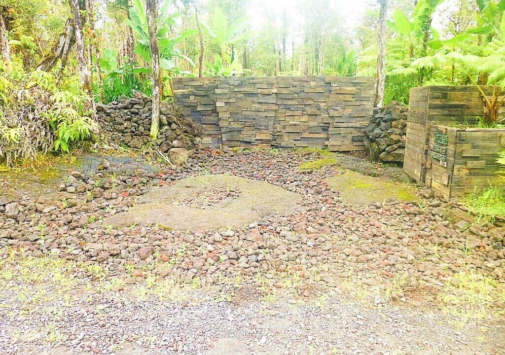 Photo of Outdoor in Fern Forest