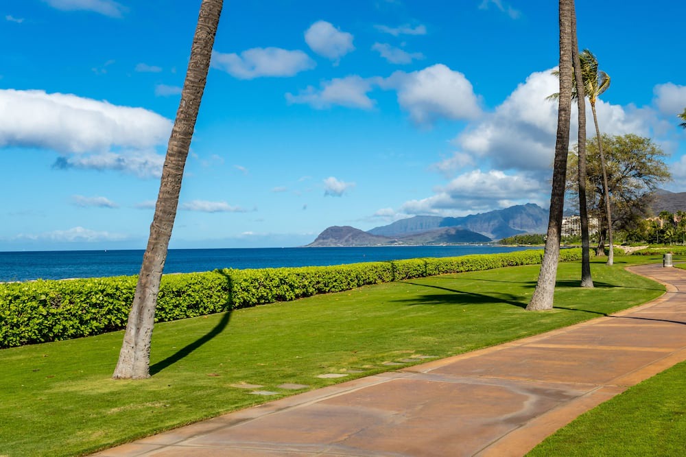 Photo of Others in Ko Olina