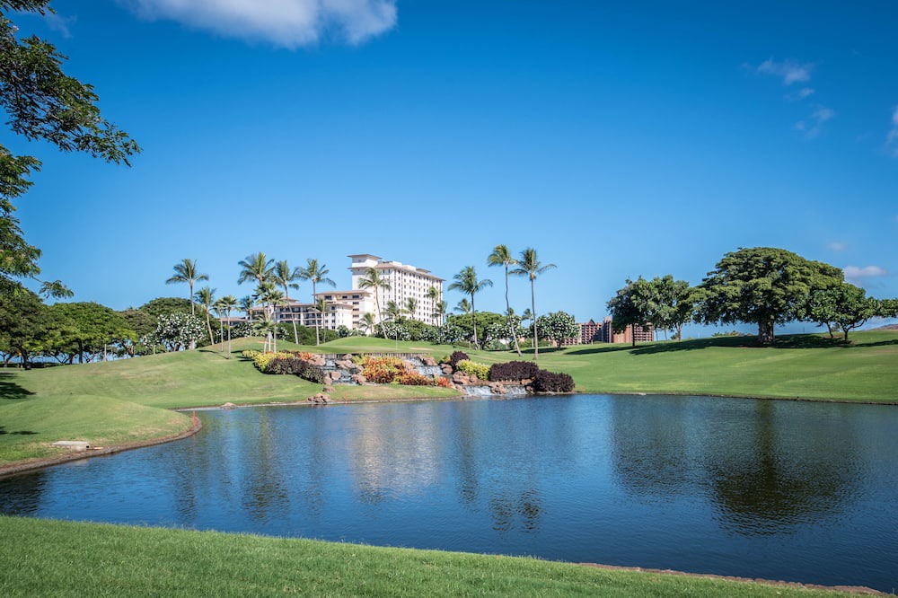 Photo of Others in Ko Olina