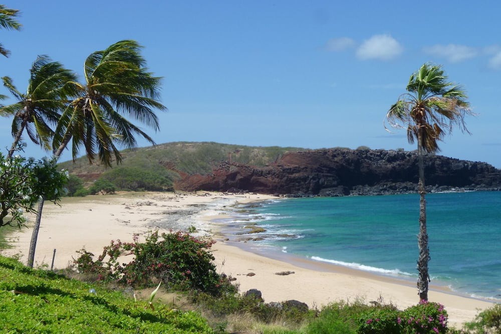 Photo of Others in Maunaloa