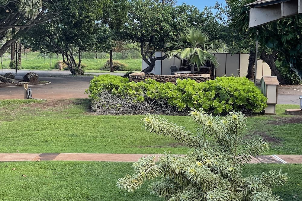 Photo of Outdoor in Maunaloa