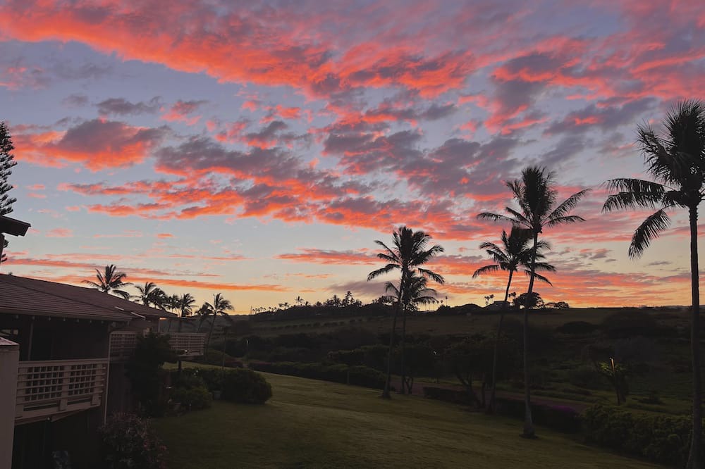 Photo of Others in Maunaloa