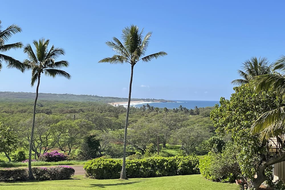 Photo of Others in Maunaloa