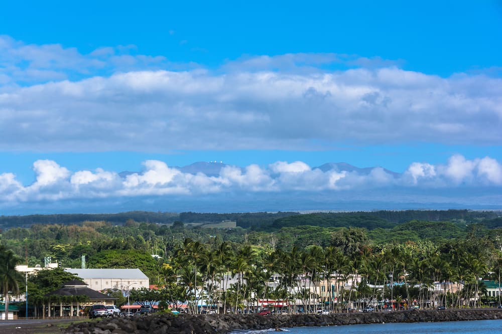 Photo of Others in Kapoho