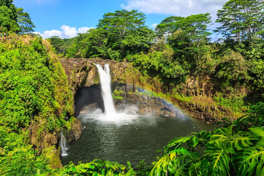 Photo of Others in Kapoho