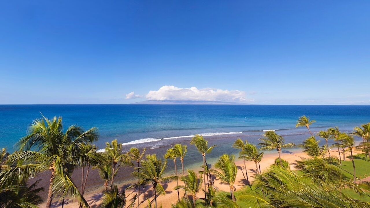 Photo of Others in Kaanapali