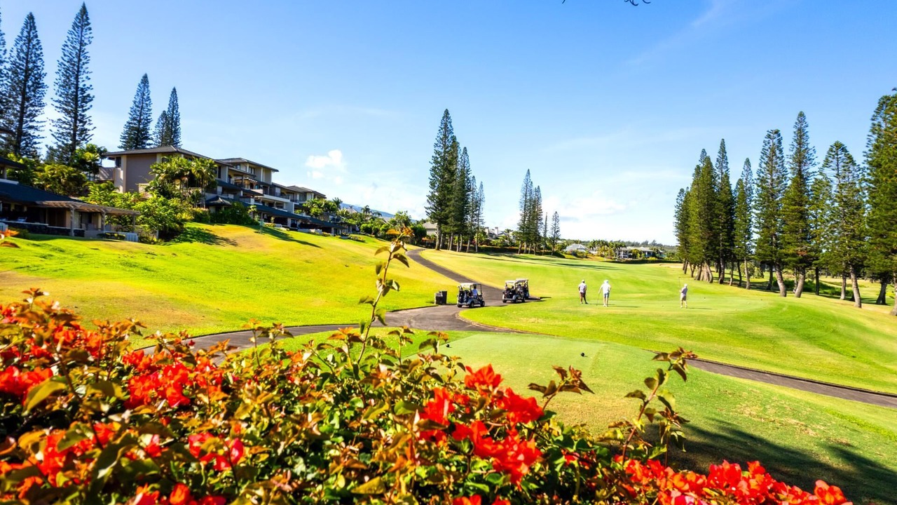 Photo of Others in Kapalua