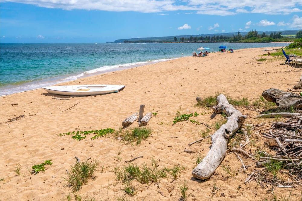 Photo of Others in Waialua